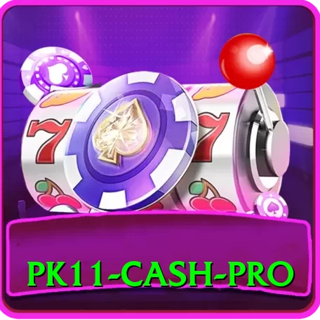 pk11 Cash Pro - 2